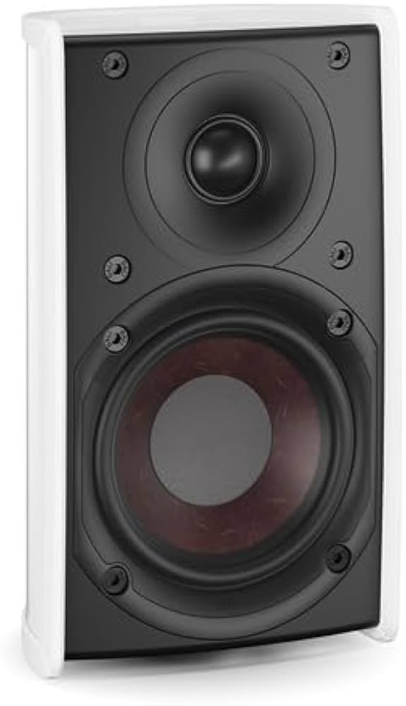 Amazon.co.jp: DALI ダリ FAZON MIKRO 壁掛けスピーカー FAZON/M/CW