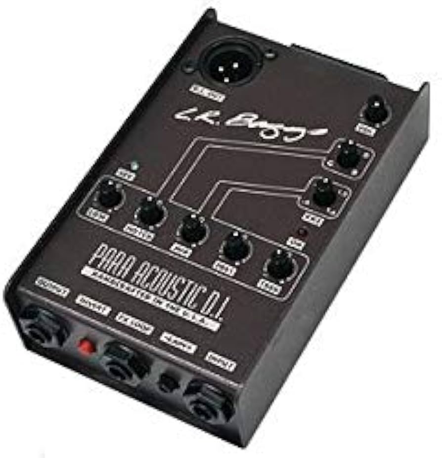 Amazon | L.R.Baggs (エルアールバックス) アコースティックギター用