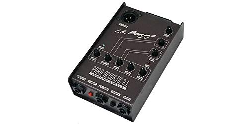 Amazon | L.R.Baggs (エルアールバックス) アコースティックギター用