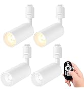 Amazon.co.jp : Pirlamp スポットライト 4個セット ダクトレール用 4.5