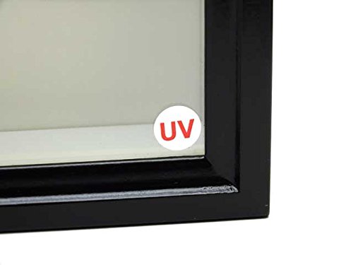Amazon.co.jp: 【UVカット】中型ドイツ型標本箱（黒） : おもちゃ