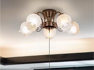 Amazon.co.jp : Amplimle シーリングライト 5灯 照明 シャンデリア E26