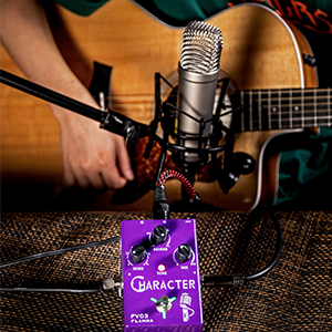 Amazon | FLAMMA FV03 ボーカル エフェクト ペダル ディレイ リバーブ