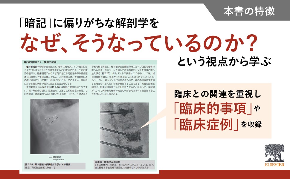 グレイ解剖学 原著第5版 | Richard L. Drake, A.Wayne Vagi, Adam