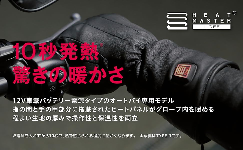 Amazon.co.jp: HeatMaster (ヒートマスター) 12V カーボンスポーツ