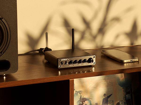 Amazon.co.jp: AIYIMA A03 TPA3116サブウーファーアンプ QCC304X