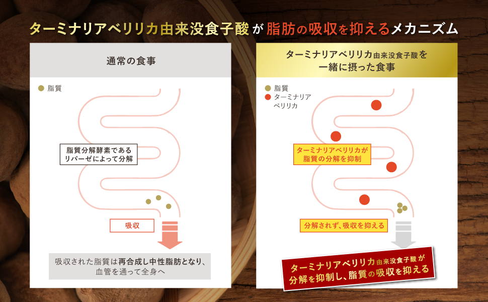 Amazon.co.jp: ポコスリム (60日分/120粒) 糖と脂肪の吸収を抑える