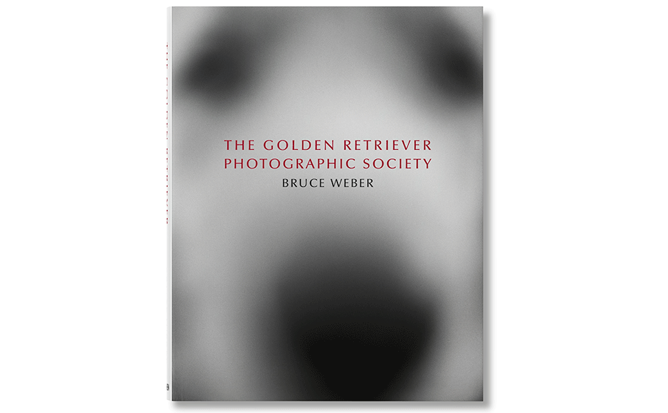 Amazon.com: Bruce Weber. The Golden Retriever Photographic Society