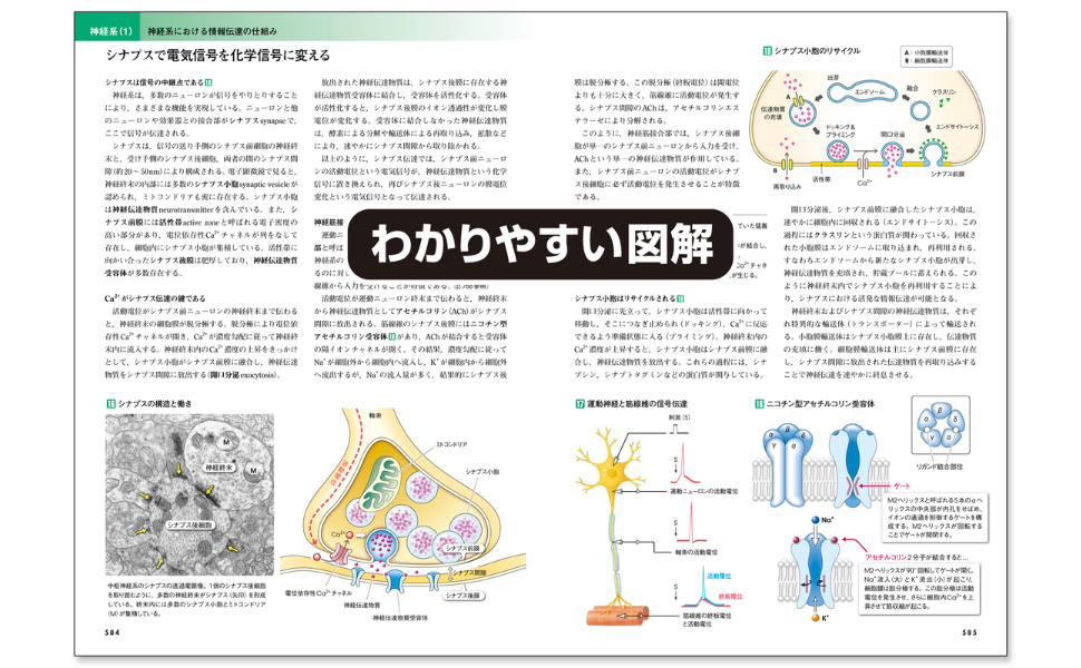 カラー図解 人体の正常構造と機能 全10巻縮刷版【電子書籍つき】改訂第