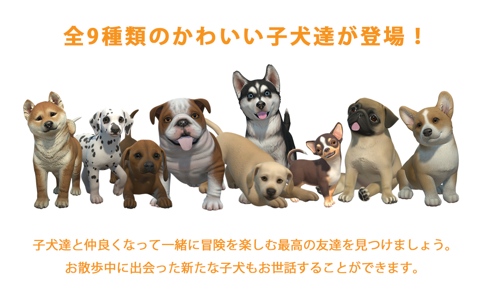 Amazon.co.jp: LITTLE FRIENDS ～PUPPY ISLAND～（リトルフレンズ