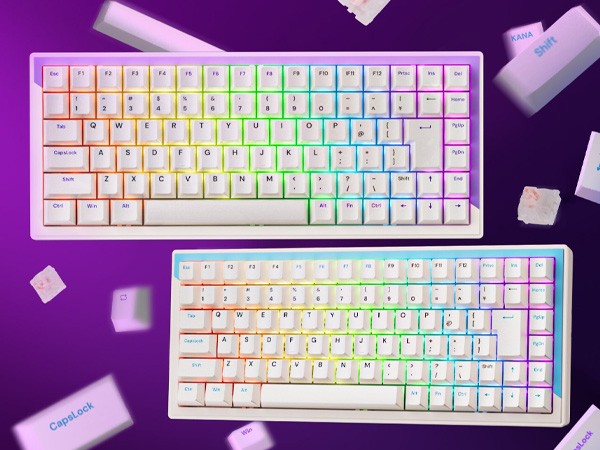 Amazon | DrunkDeer G75 ラピッドトリガーキーボード eスポーツ