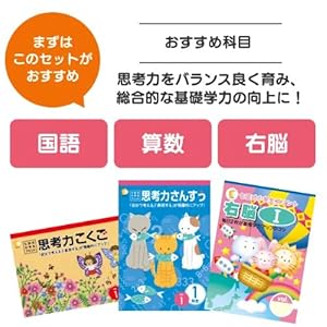 Amazon.co.jp: この1年で決まる！本気のプリントで思考力アップ