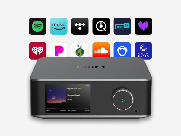 Amazon.co.jp: 【直輸入品】WiiM Ultra 音楽ストリーマー＆デジタル