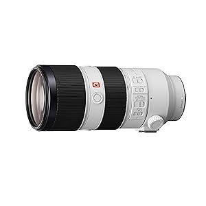 Amazon.com : Sony FE 70-200mm f/2.8 GM OSS Lens for Sony E