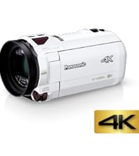 Amazon.co.jp: パナソニック 4K ビデオカメラ VX1M 64GB あとから補正
