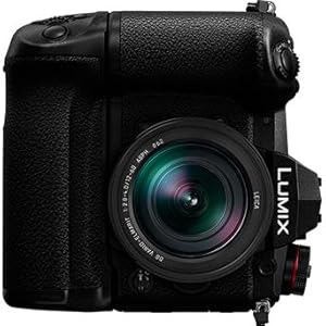 Amazon | パナソニック(Panasonic) DMW-BGG9 LUMIX バッテリーグリップ