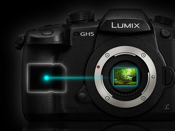 Amazon.com : Panasonic LUMIX GH5 4K Digital Camera, 20.3 Megapixel