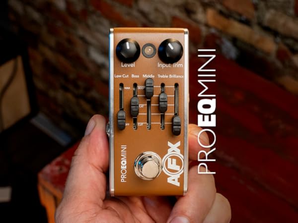 Amazon.com: Fishman AFX Pro EQ Mini Acoustic Preamp & EQ : Musical