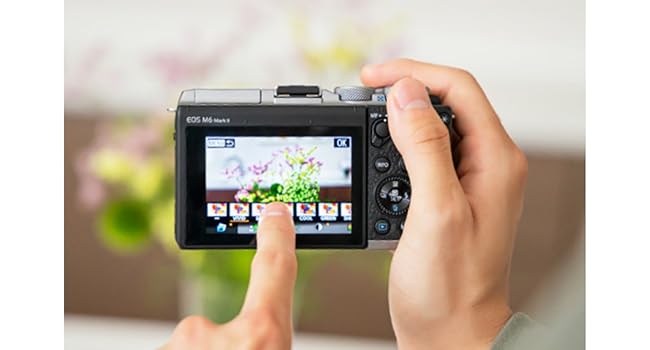 Amazon | Canon ミラーレス一眼カメラ EOS M6 Mark II ボディー