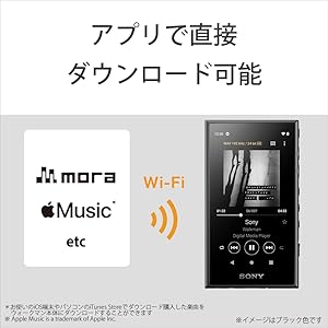 Amazon.co.jp: ソニー ウォークマン 32GB Aシリーズ NW-A106