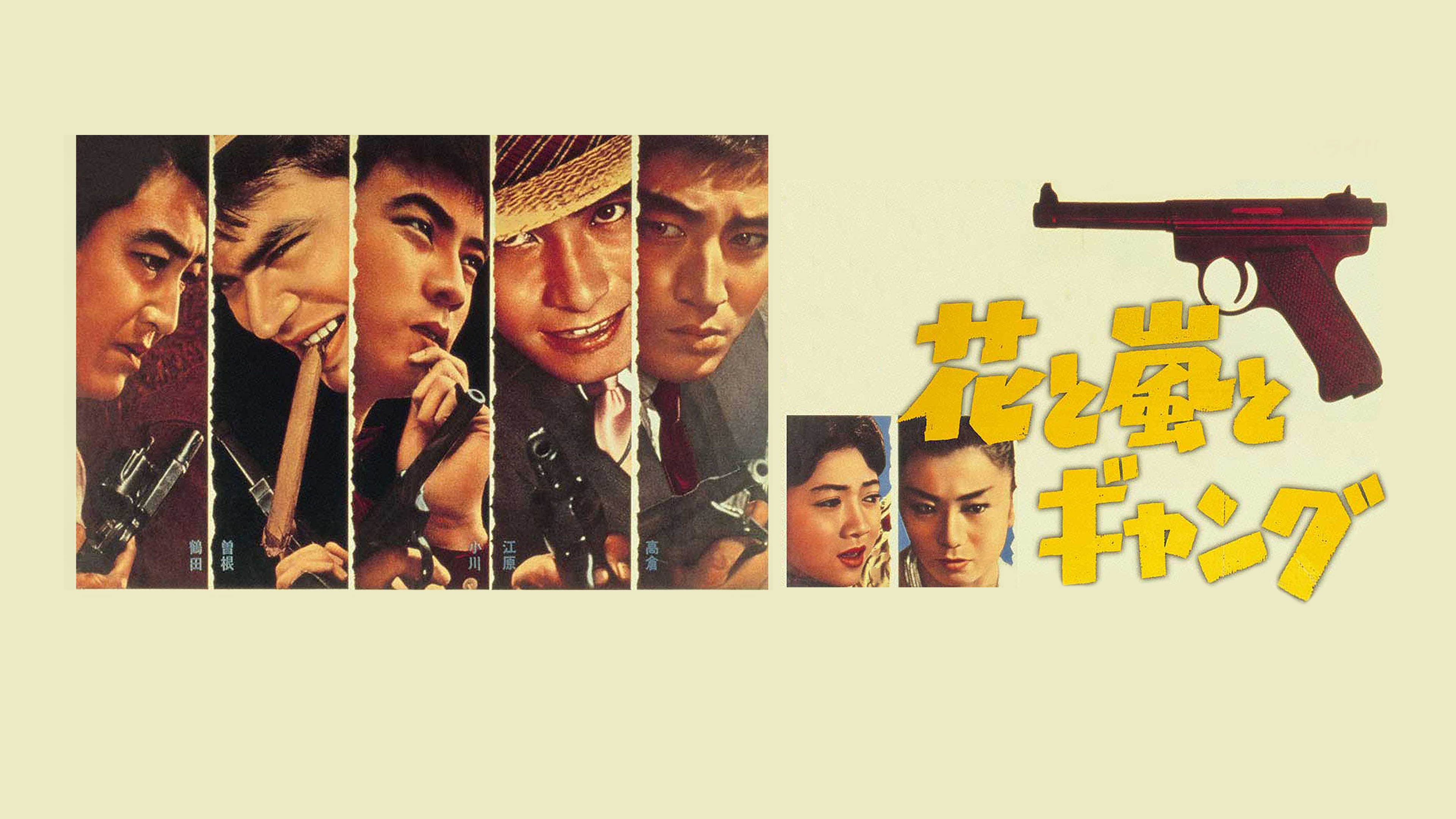 Amazon.co.jp: 花と嵐とギャングを観る | Prime Video