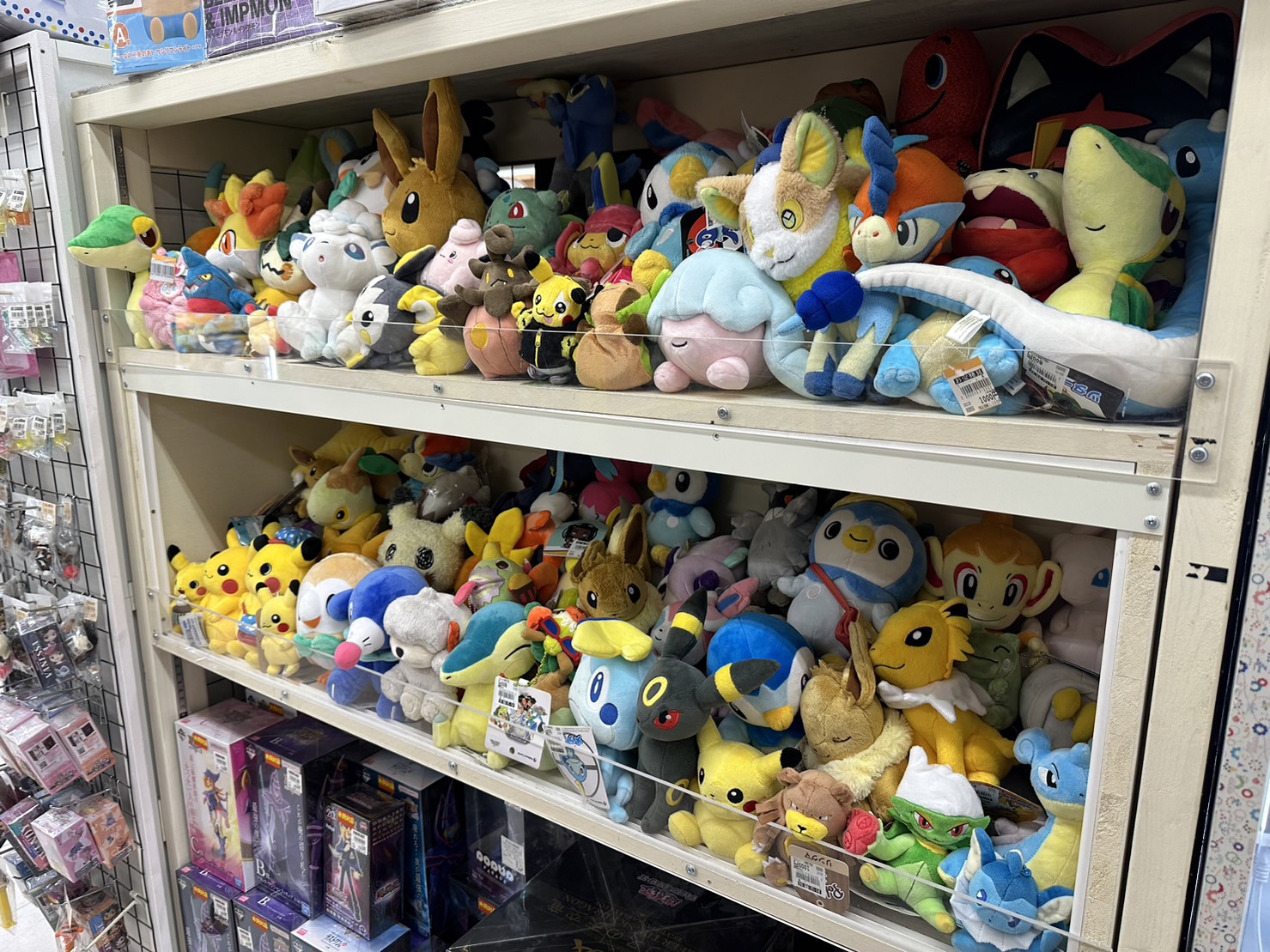 □ポケモンセンターやプライズのポケモンぬいぐるみ、多数並びました