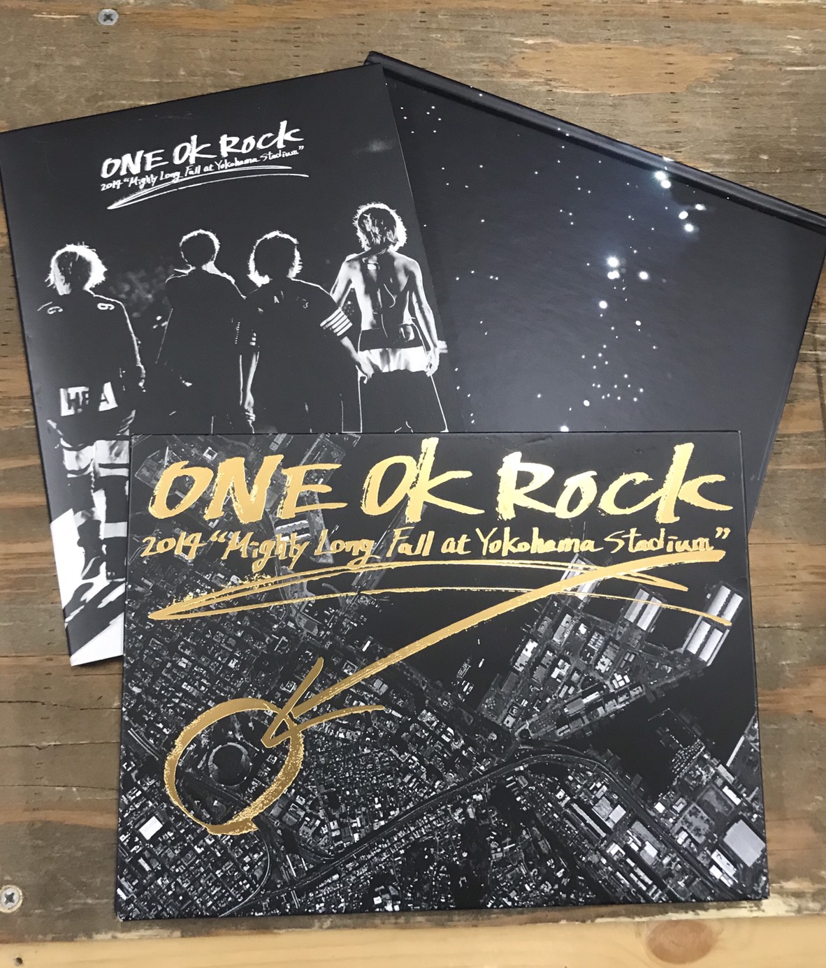 ミュージック ONE OK ROCK 2014 DVD ONE Ok Rock 2014 Mighty Long