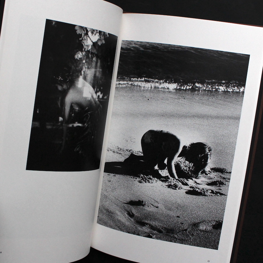 Sunflower（Signed） - 森山 大道 / Daido Moriyama