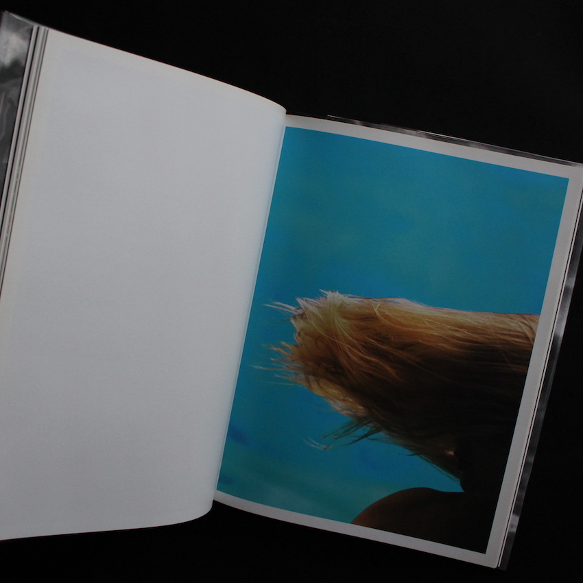 Mermaids - Michael Dweck