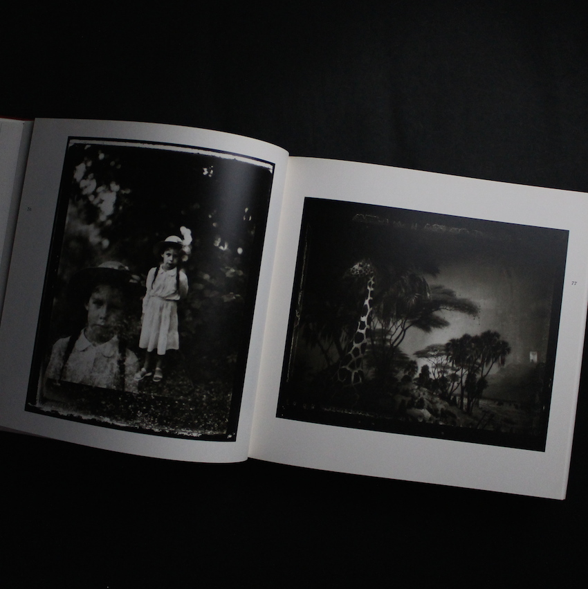 Zufallige Begegnungen - Sarah Moon