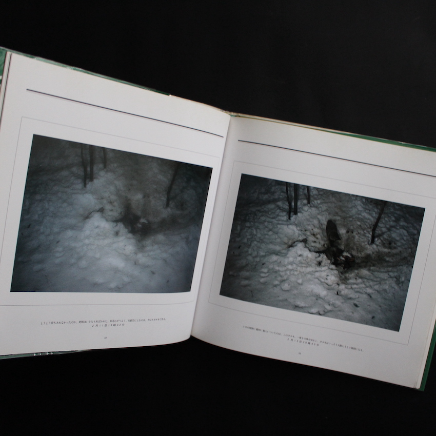 死 / Death in the Nature - 宮崎 学 / Manabu Miyazaki