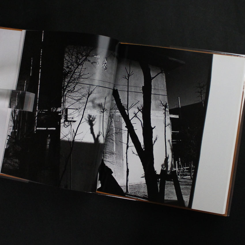 hysteric Twelve（Missing Plastic Cover） - 深瀬 昌久 / Masahisa Fukase