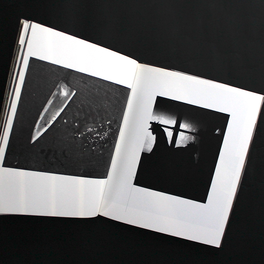 廃園 / Ruinous Gardens - 東松 照明 / Shomei Tomatsu