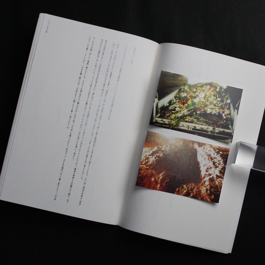 カナリア門 - 志賀 理江子 / Lieko Shiga