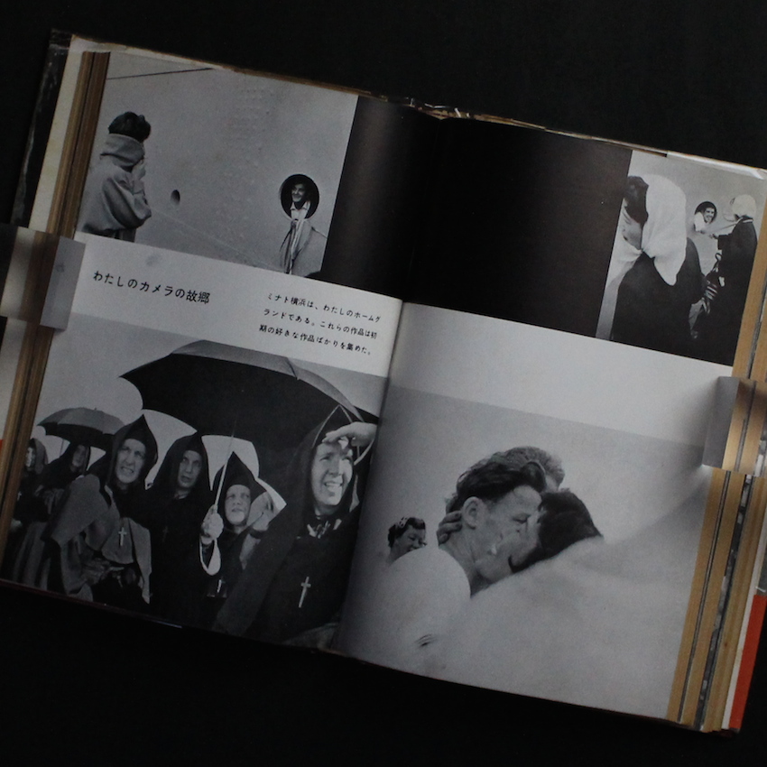 危険な毒花 / Dangerous Poisonous Flowers（Second Edition） - 常盤