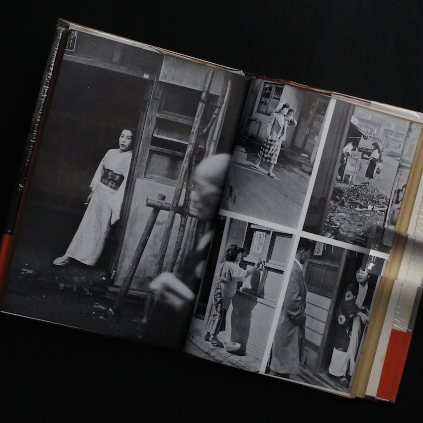 危険な毒花 / Dangerous Poisonous Flowers（Second Edition） - 常盤