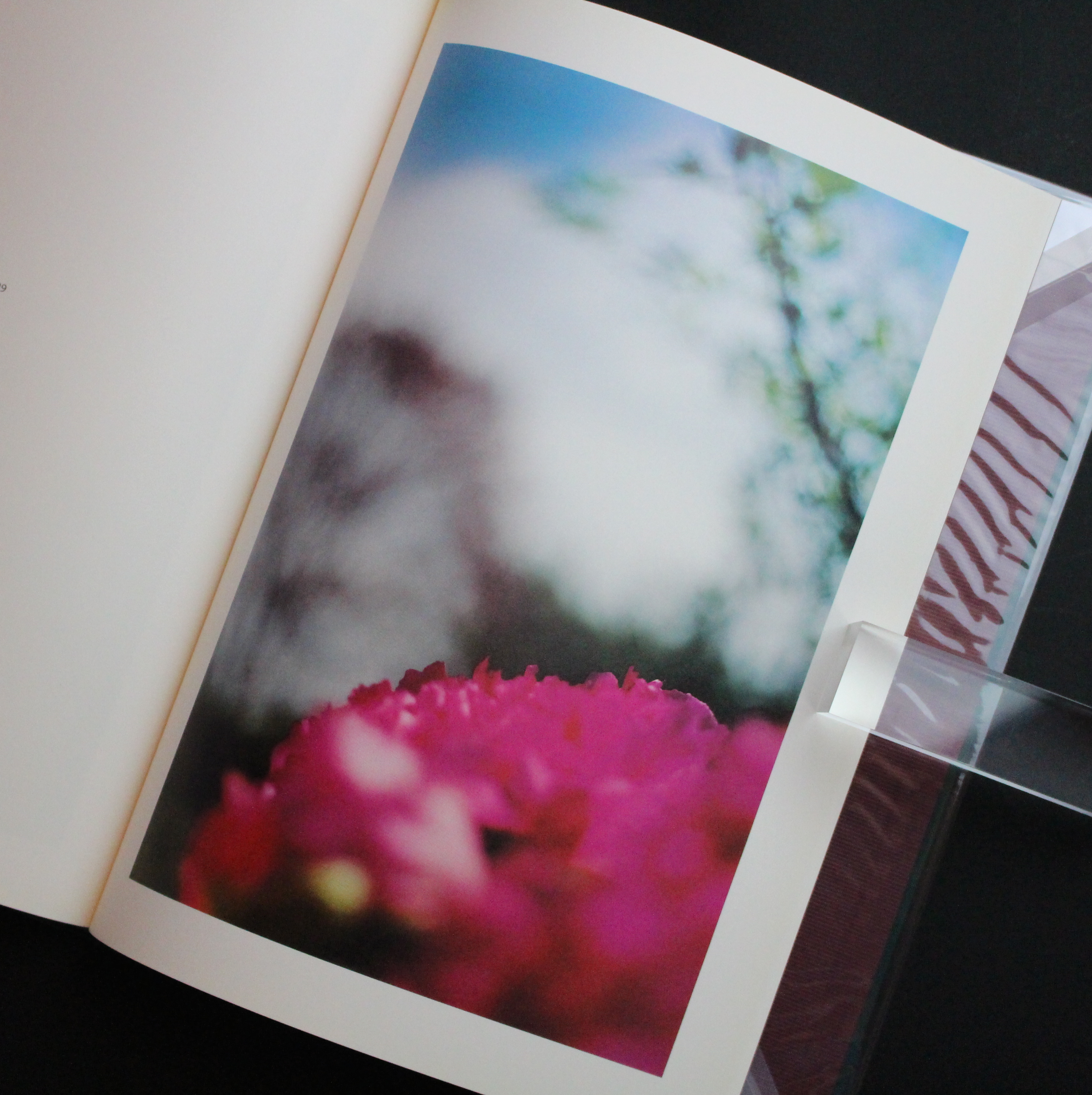 Hunter Green - Terri Weifenbach