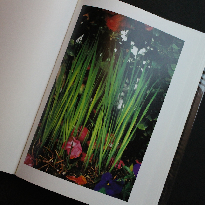 Lana - Terri Weifenbach