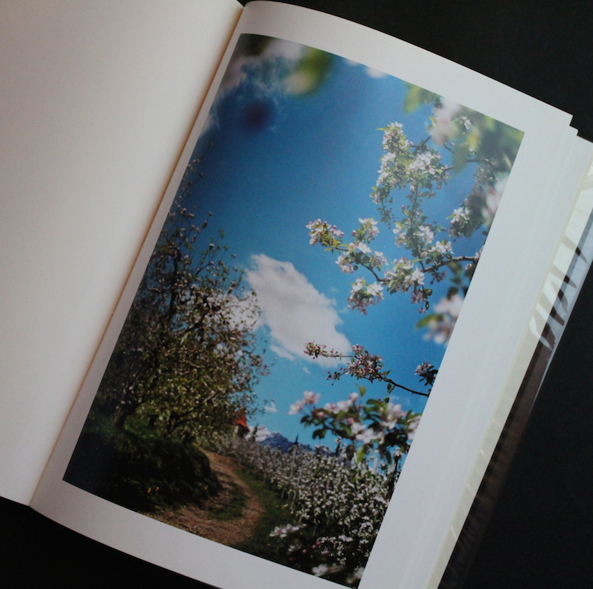 Lana - Terri Weifenbach