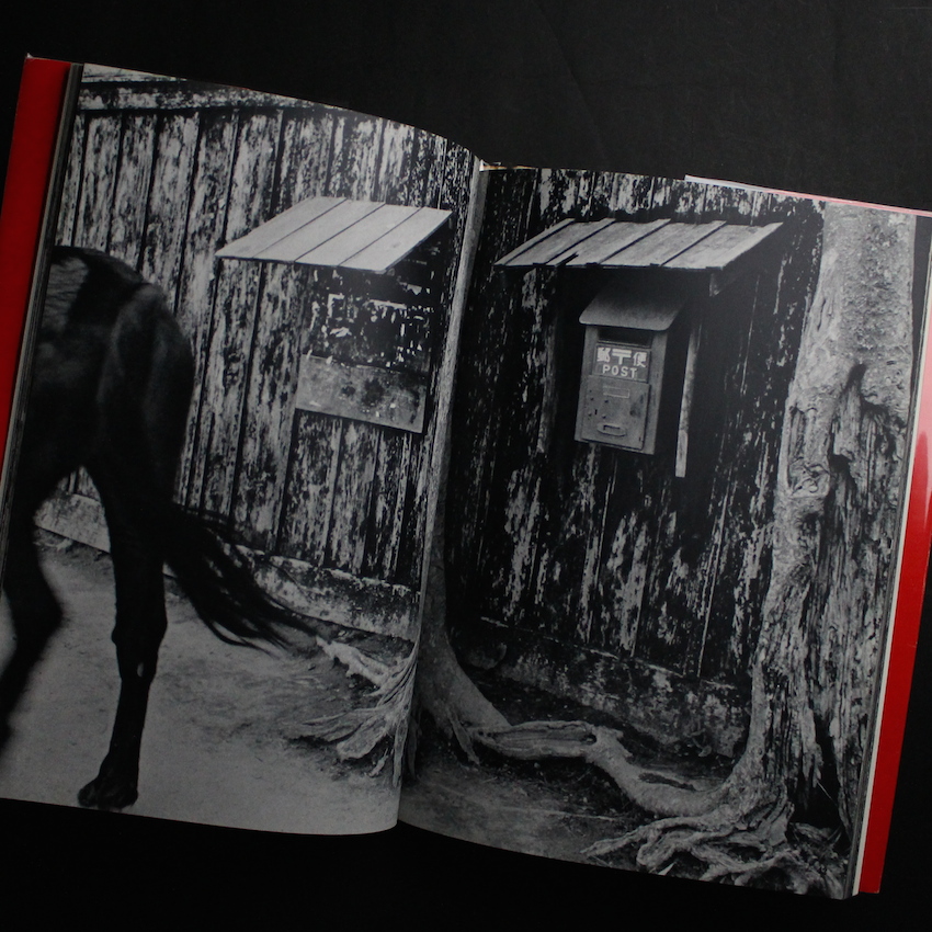 秋田 / Akita - 木村 伊兵衛 / Ihei Kimura