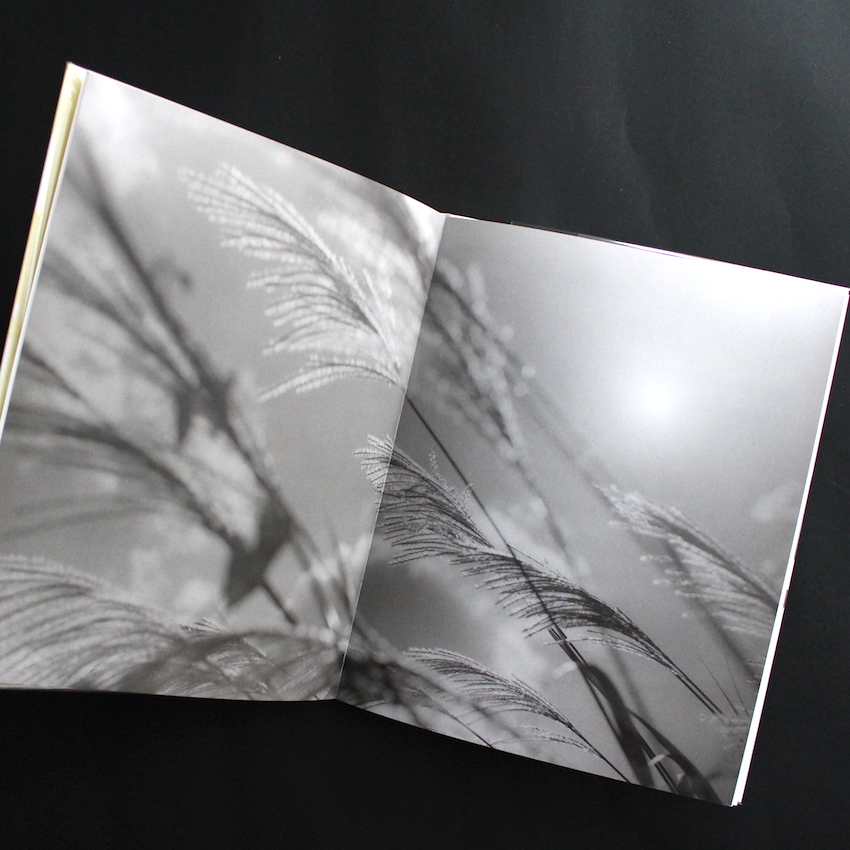 帰途 / Kito - 富谷 昌子 / Masako Tomiya