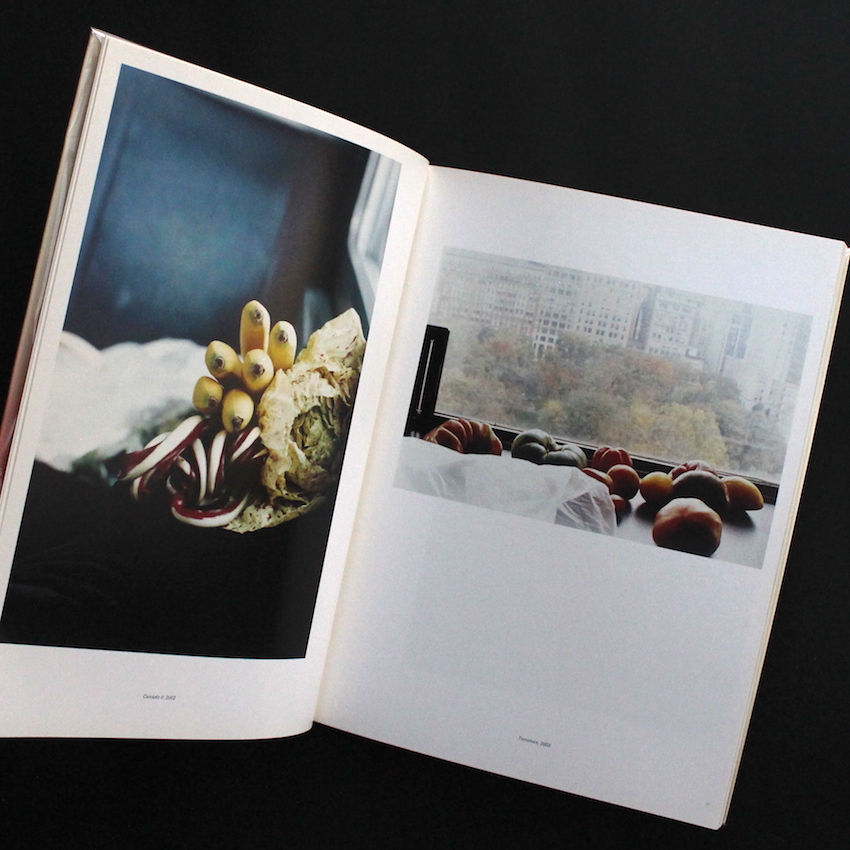 Freischwimmer - Wolfgang Tillmans