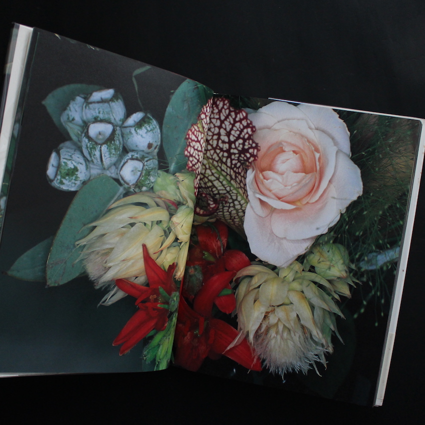 花曲 / Kakyoku - 荒木 経惟 / Nobuyoshi Araki