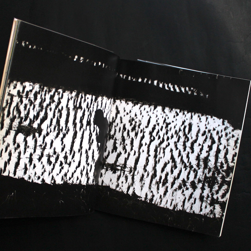 Aperture Black Sun：The Eyes of Four