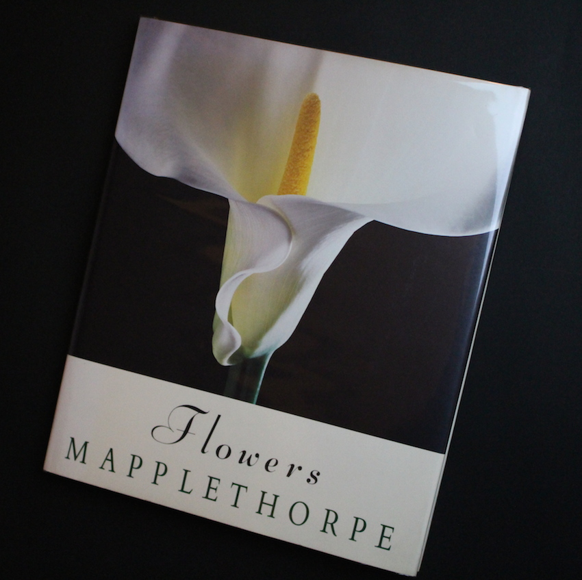 Flowers - Robert Mapplethorpe