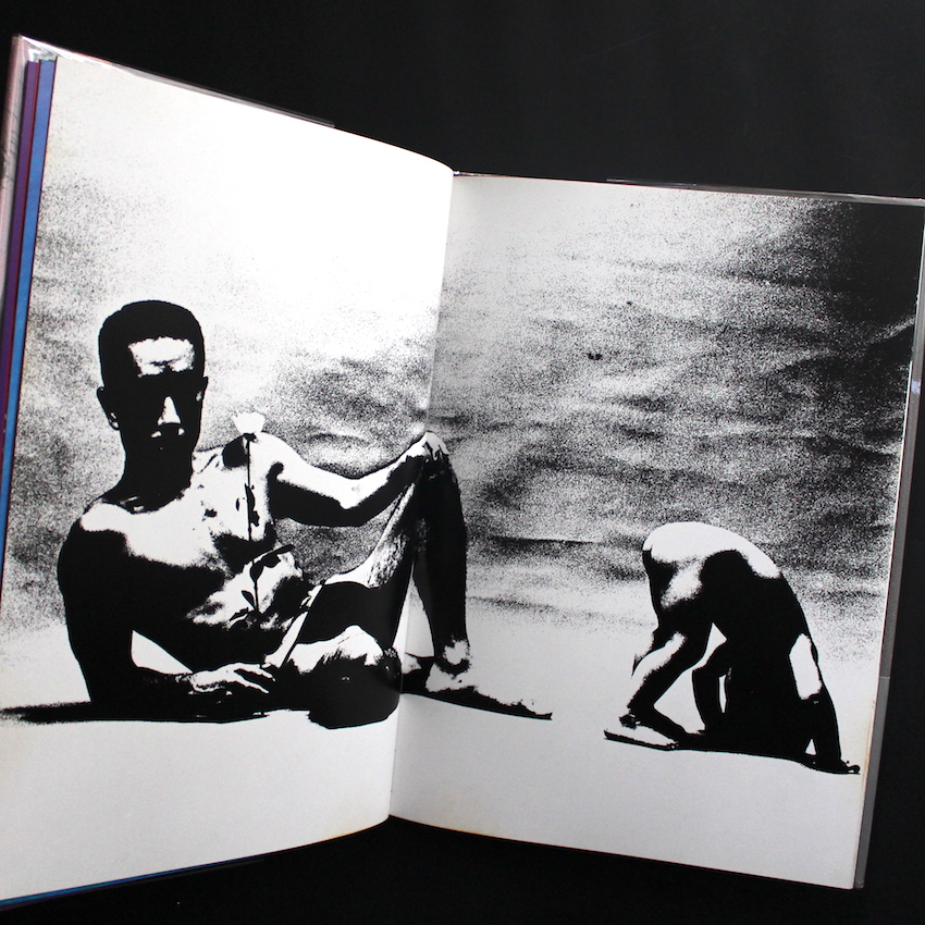 薔薇刑・新版-細江英公寫眞集- / Ordeal by Roses Ⅱ - 細江英公