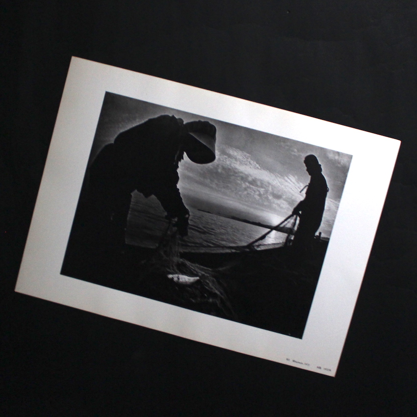 水俣：生-その神聖と冒瀆 / Minamata: Life-Sacred and Profane