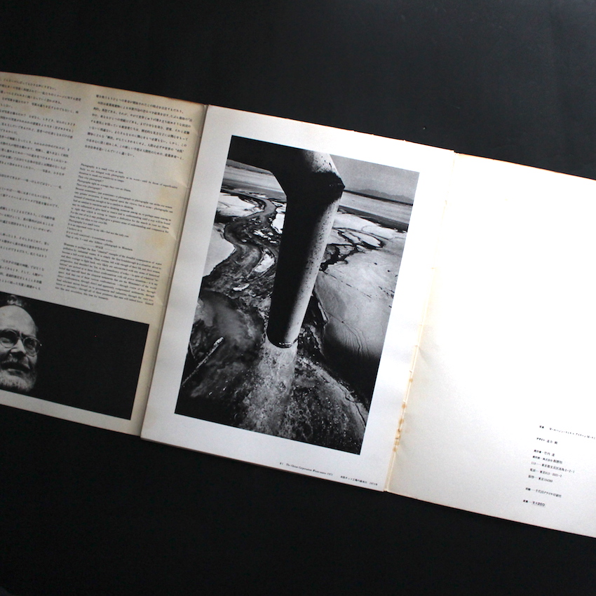 水俣：生-その神聖と冒瀆 / Minamata: Life-Sacred and Profane