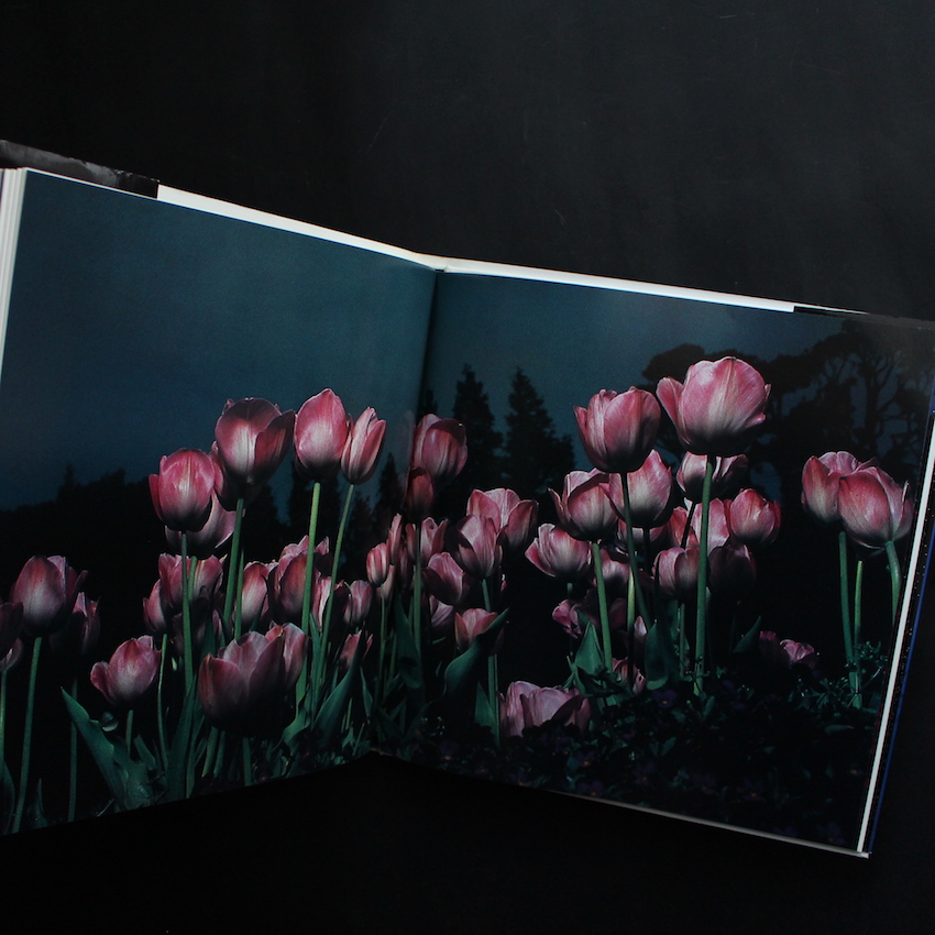 花狩 / Botanical Planetarium - 山村 雅昭 / Gasho Yamamura