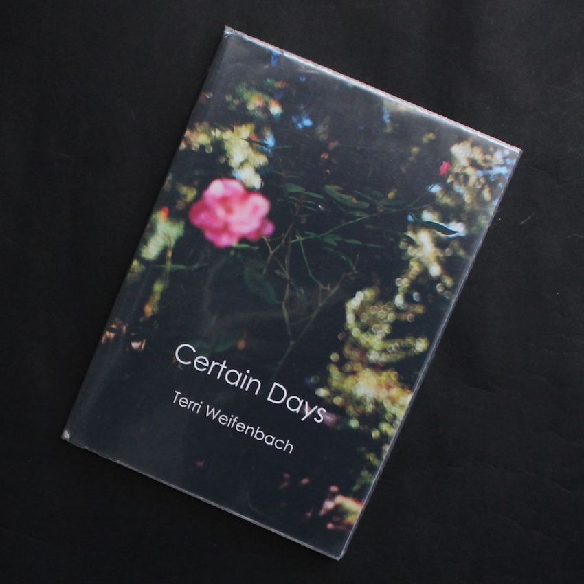 Certain Days - Terri Weifenbach